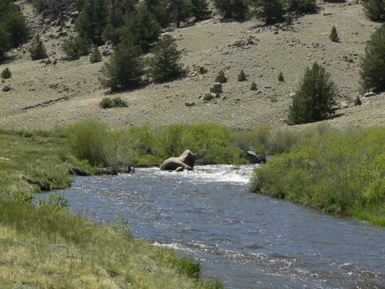 Colorado Hunting and Fishing Land In Park County. From Only $20,900.00