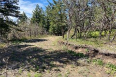 Colorado Mountain Land Near Denver Driveway