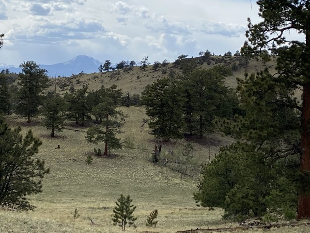 Colorado Mountain Land for Sale