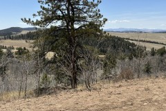 2023-06-05-5-acres-colorado-mountain-land_0284