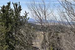 2023-06-05-5-acres-colorado-mountain-land_0287