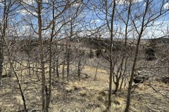 2023-06-05-5-acres-colorado-mountain-land_0295