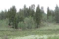2024-05-11-5acres-02