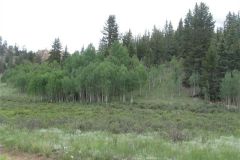 2024-05-11-5acres-04