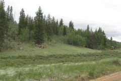 2024-05-11-5acres-05