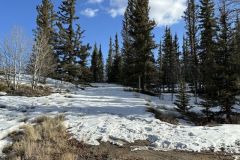 2025-05-22-colo-acreage-04