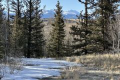2025-05-22-colo-acreage-06