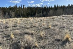 2025-05-22-colo-acreage-08