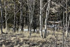 2025-05-22-colo-acreage-10