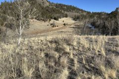 2025-05-22-colo-acreage-16