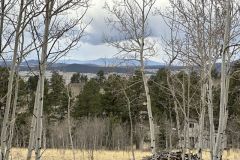 2025-05-22-fishingland-01