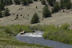 2025-05-22-fishingland-09