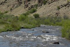 2025-05-22-fishingland-10