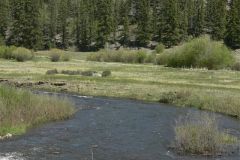 2025-05-22-fishingland-11