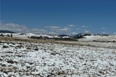 2025-05-23-cheapland-11