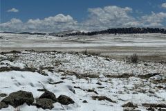 2025-05-23-cheapland-12