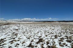 2025-05-23-cheapland-14