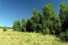 2025-05-23-parkcountyland-157k-03