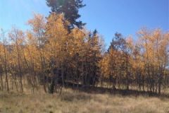 2025-05-23-parkcountyland-157k-04