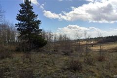 2025-05-23-parkcountyland-157k-09
