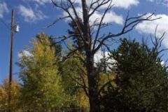 2025-05-23-parkcountyland-157k-16