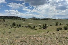 2025-05-23_658acres-4