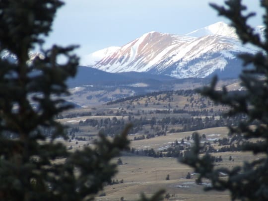 2005 0109xmas0030 2 540x405