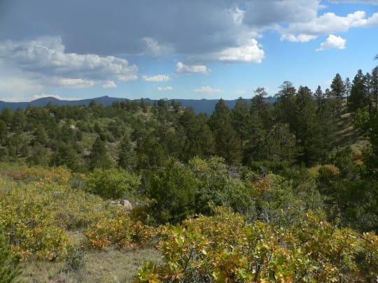 placeholder1280x720 Colorado mountain property 540x405