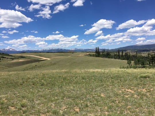 IMG 0179 540x405