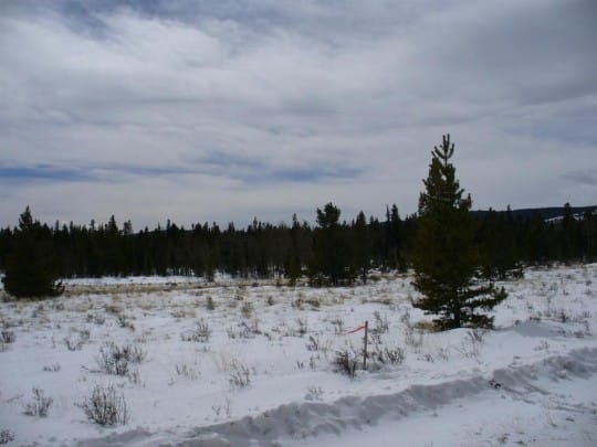 Picture 2 540x405