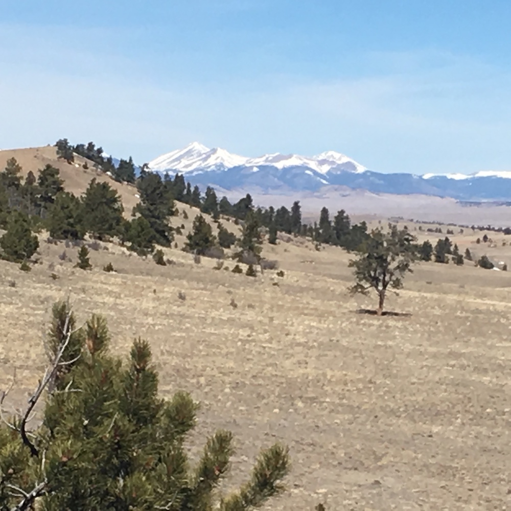 Colorado Mountain Acreage Bordering BLM Land: 6.430 Acres in Park ...