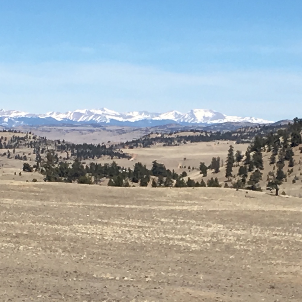 Colorado Mountain Acreage Bordering BLM Land 6.430 Acres in Park