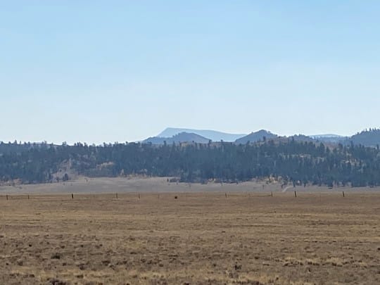IMG 0153 540x405