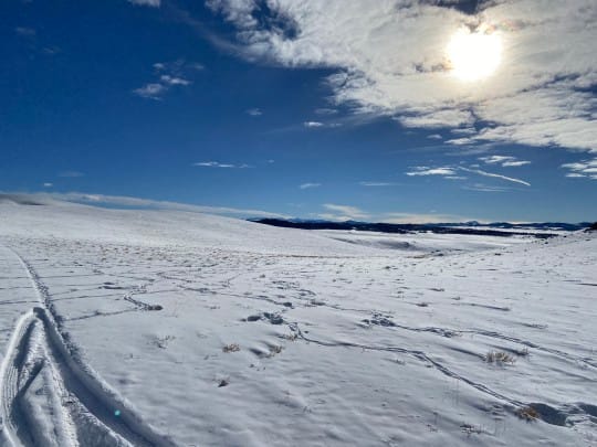 IMG 0260 540x405