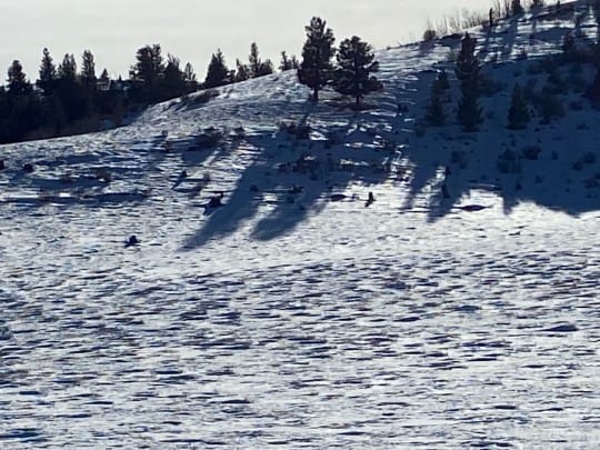 IMG 0363 540x405