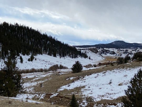 IMG 0390 540x405