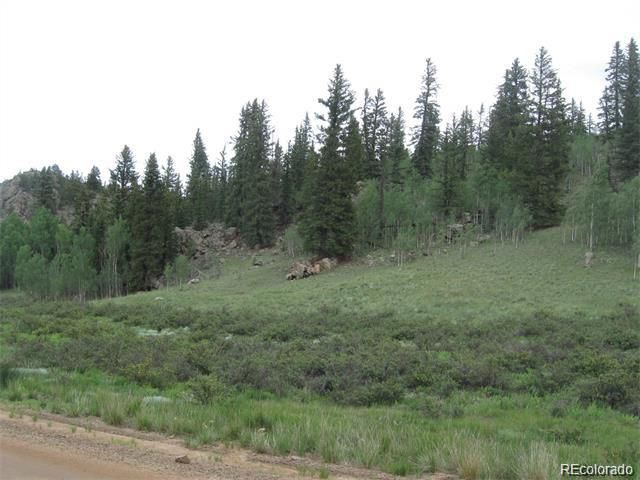 5 Acres of Park County Colorado Fishing Land Only $133,500.00
