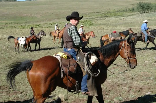 Colorado horse property specialist1