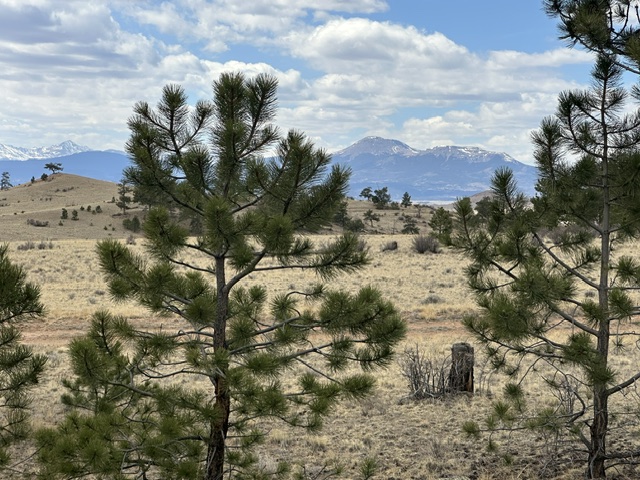 Image1