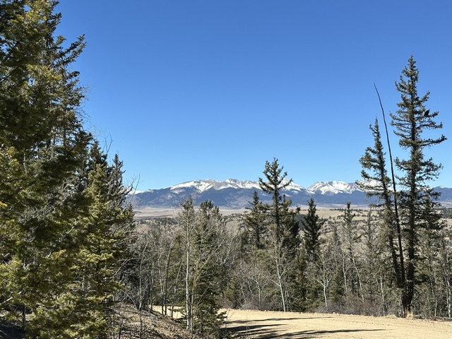 Image3