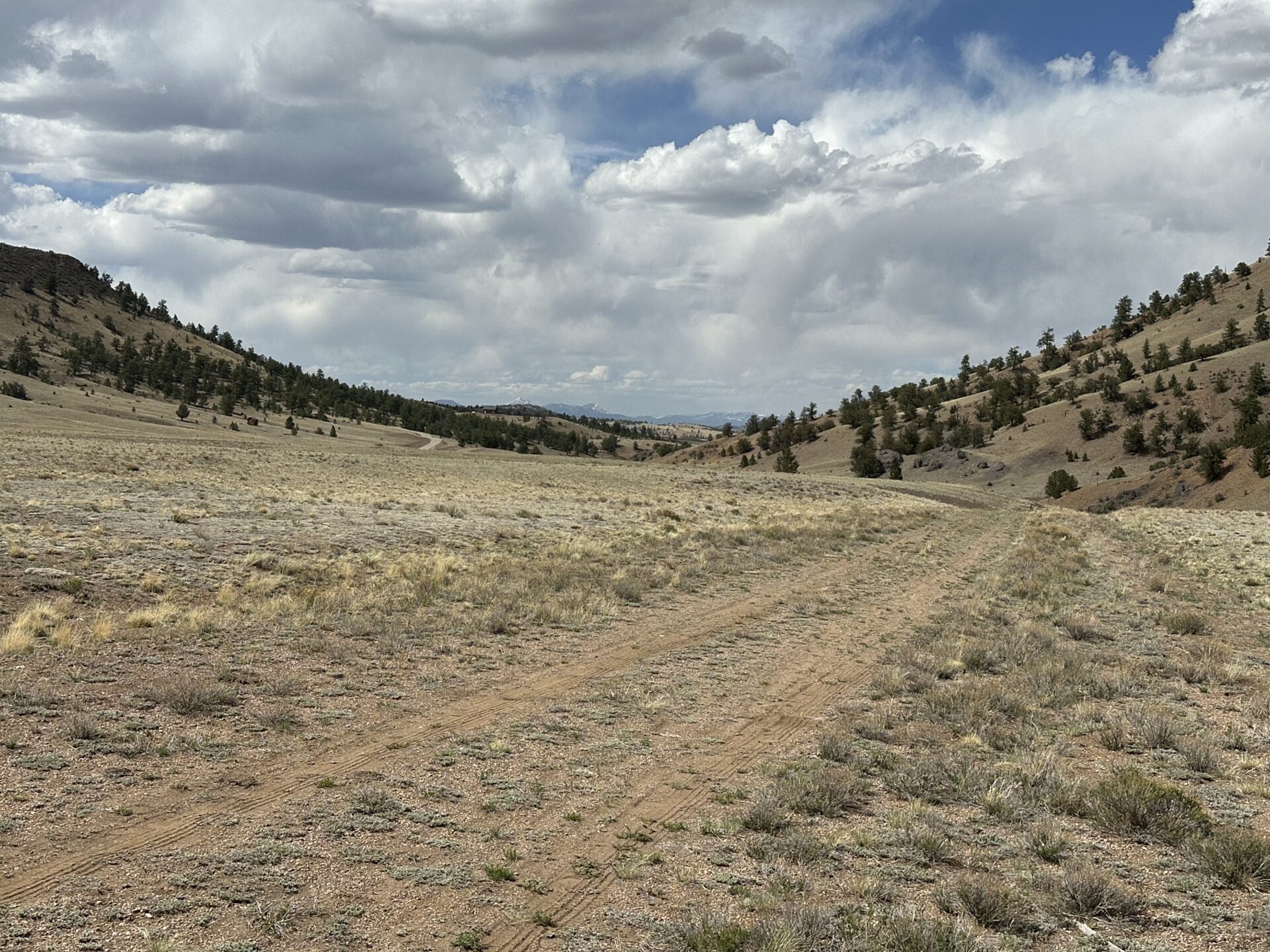 Image8